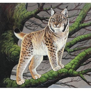 Olga Kowalska (b. 1992), Lynx in the Forest, 2026