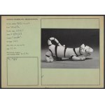 "Tiger" figurine, Henryk JĘDRASIAK, Chodzież, IWP, 1950s/1960s.