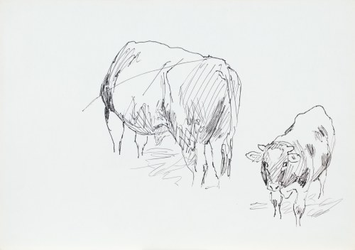 Ludwik MACIĄG (1920-2007), Byk i krowa