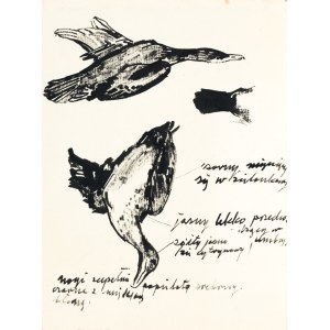 Ludwik MACIĄG (1920-2007), Kaczki