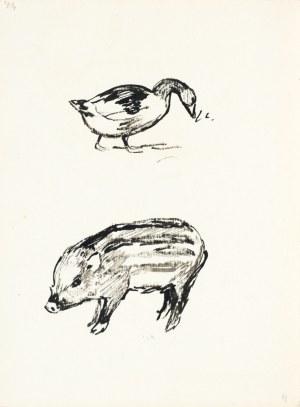 Ludwik MACIĄG (1920-2007), Kaczki
