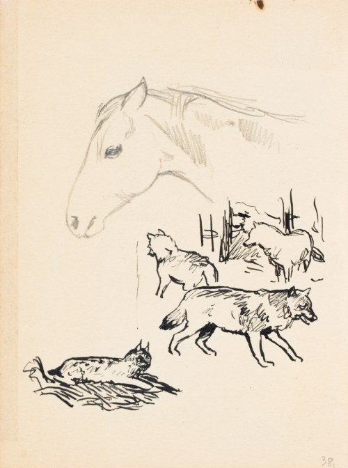 Ludwik MACIĄG (1920-2007), Psy i koty oraz głowa konia