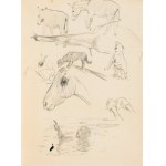 Ludwik MACIĄG (1920–2007), Dogs and Cats and a Horse’s Head