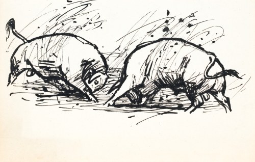 Ludwik MACIĄG (1920-2007), Bitwa byków