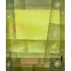 Wojciech Kaleta, A Green Perspective, 2018