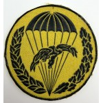 6 PDPD - SECOND TYPE OF PATCH FOR THE 22nd CHEMICAL PROTECTION COMPANY