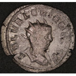 Rome. Saloninus as Caesar Antoninianus - 258-260 A.D - Silver