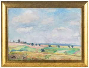 Wojciech Weiss (1875 Leorda na Bukowinie - 1950 Kraków), Pejzaż