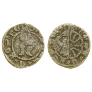 Slezsko, městský halerz, bez data (cca 1450–cca 1470), Racibórz