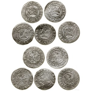 Poland, set of 5 x half-grosz, Kraków