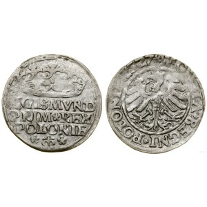 Pologne, grosz, 1527, Cracovie