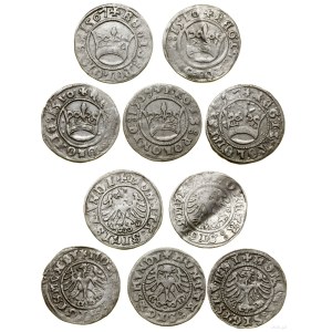 Poland, set of 5 x half-grosz, 2 x 1507, 1509, 2 x 1510, Kraków