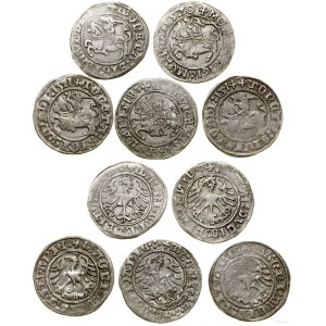Polska, zestaw 5 x półgrosz, 1511, 1514, 1518, 1520 oraz data nieczyt, Wilno