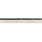Ryszard Gieryszewski (1936, Varsovie – 2021, Varsovie), « Lignes noires et blanches », 2008