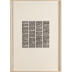Antoni Starczewski (1924, Łódź – 2000, Łódź), Struck-Through Texts, 1977–79