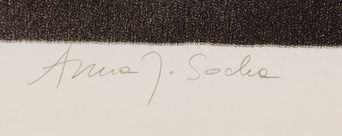 Anna Jelonek-Socha (ur. 1932, Lubcza), Nike (III), 1986