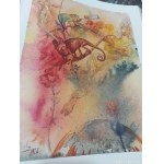 Salvador Dalí (1904–1989), Deluxe Edition of The Tales of the 1,001 Nights, 50 offset lithographs, 2014