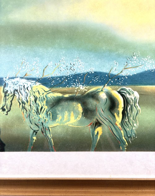 Salvador Dalí (1904-1989),, La Licorne Allègre, ou la Métamorphose des plantes (Szczęśliwy jednorożec, czyli Metamorfoza roślin), ok. 1970 r. (1931)