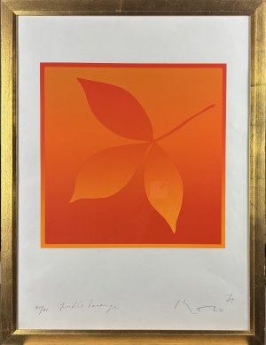 Inoue Kozo