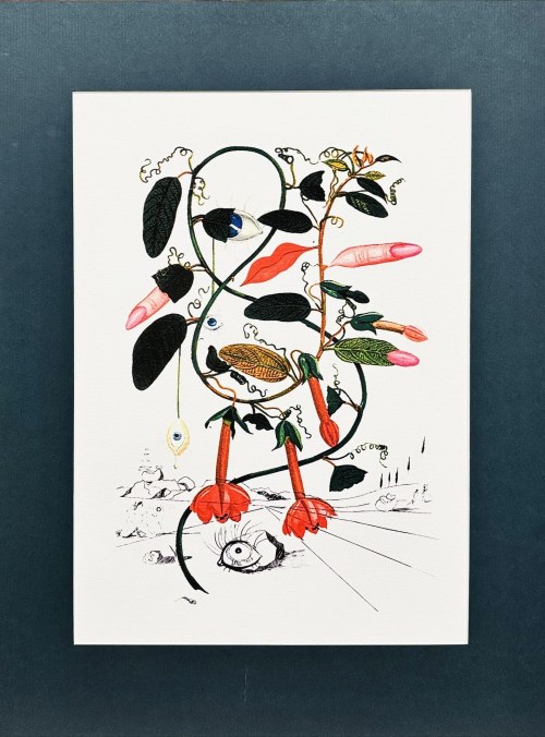 Salvador Dali (1904-1989), Cobea - Pisum Sensuale (Zmysłowy groszek) z cyklu Flordali (znany również jako Flora Dalinae lub Fleurs Surréalistes), 1979