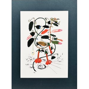 Salvador Dali (1904-1989), Cobea - Pisum Sensuale (Zmysłowy groszek) z cyklu Flordali (znany również jako Flora Dalinae lub Fleurs Surréalistes), 1979