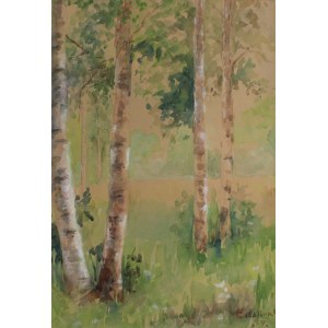 E. Winkler (XX secolo), Brzozy, 1934