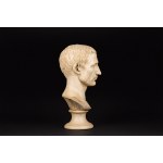 Bust of Julius Caesar