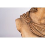 Large terracotta bust of Apollo