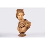 Large terracotta bust of Apollo