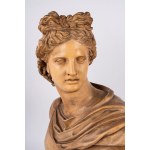 Large terracotta bust of Apollo