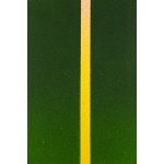 Joanna Głażewska (b. 1973, Ruda Śląska), Summer, 2022