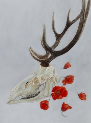 Karolina Marcol (ur. 1984, Wodzisław Śląski), 