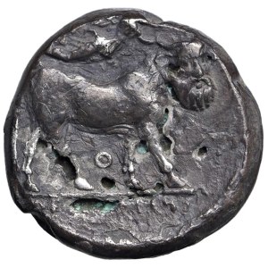 Greek coins - CAMPANIA Neapolis - Didramma (circa 300-275 a.C.) ...