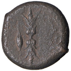 Řecké mince – SICÍLIE Syrakusy Æ (období Timoleonta, kolem roku 344...