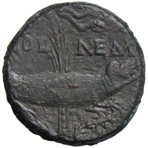 Roman Empire Coins - Augustus (27 B.C.–14 A.D.) Dupondius (Nemausus) Test...