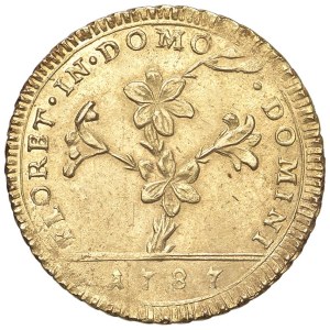 Pièces papales - Pie VI (1775-1799) Doppia 1787 - Nomisma 13 AU (g ...