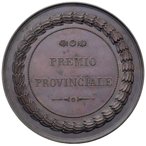 City Medals - FERRARA. Medal from 1865? For the Medical-Ch...