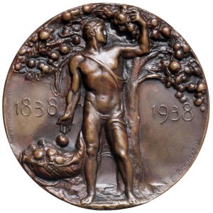Cities Medals - FERRARA. 1938 Medal: 1st Centennial of the Cassa d...