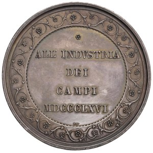 Cities Medals - RIETI. 1866 Medal of the Rieti Agricultural Association - To...
