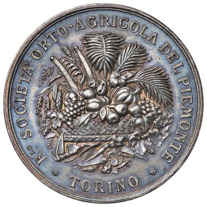 Cities medals - TORINO. Medaglia 1882 Società Orto-Agricola del Pi...