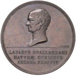 Skatīt līdzīgu