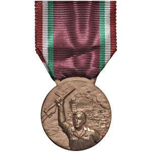 Medale Królestwa Włoch – Dowództwo Okręgu Wojskowego Oltrepò Pavese. Medal …