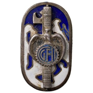 Fascist Insignia - VENTENNIO FASCISTA (1922-1943) Distintivo GFI da O...