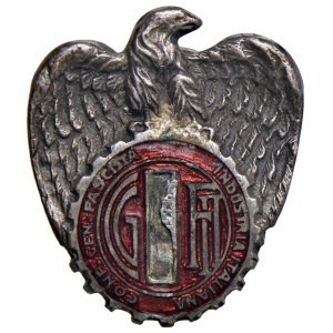 Fascist Insignia - TWENTY YEARS OF FASCISM (1922–1943) GFI Badge from O...