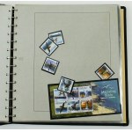 Alderney Stamp Album - Birds. Uncanceled (155)