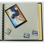 Alderney Stamp Album - Birds. Uncanceled (155)