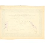 Warsaw Joint-Stock Loan Society Secured by Movable Property - 100 zł (135)