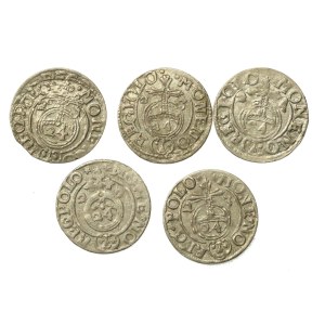 Sigismund III Vasa, set of one-and-a-half-taler coins. 5 pieces total. (151)