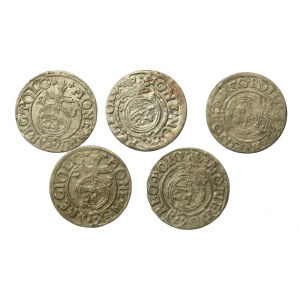 Sigismund III Vasa, set of one-and-a-half-taler coins. 5 pieces total. (153)