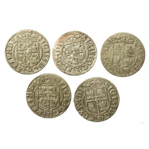 Sigismund III Vasa, set of one-and-a-half-taler coins. 5 pieces total. (153)